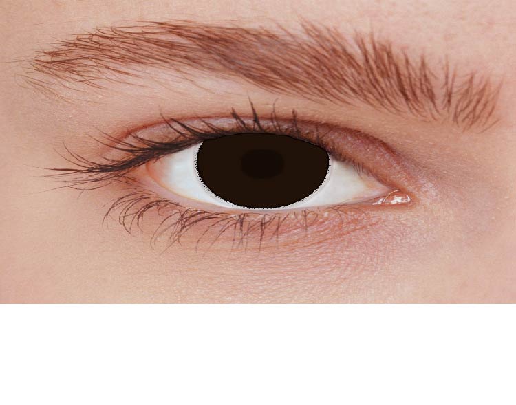 Iris Dark